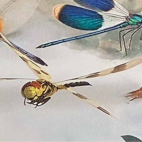 The Girl Who Loved Dragonflies – Fairy Tale Metal Wall Sign NEW Great Gift - Picture 3 of 4